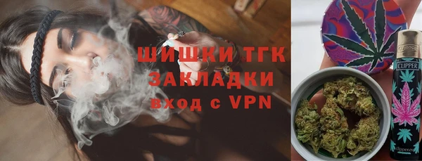 хмурый Абаза