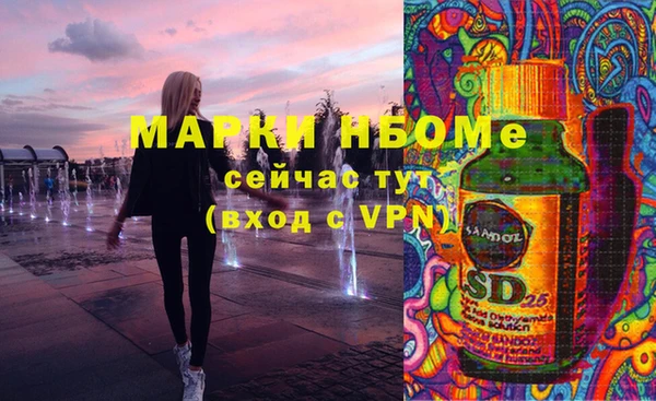 хмурый Абаза