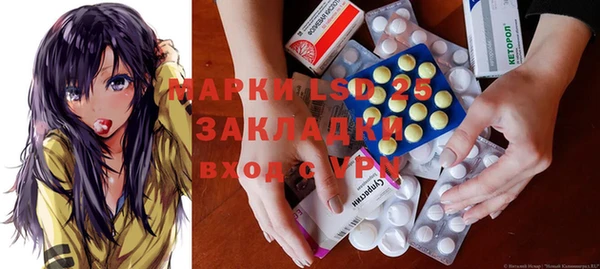 хмурый Абаза