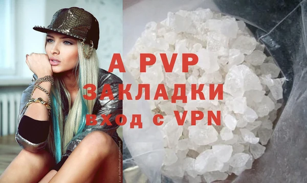 хмурый Абаза