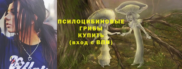 хмурый Абаза