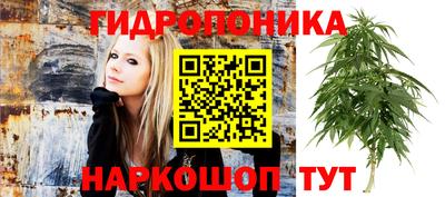 индика Ликино-Дулёво