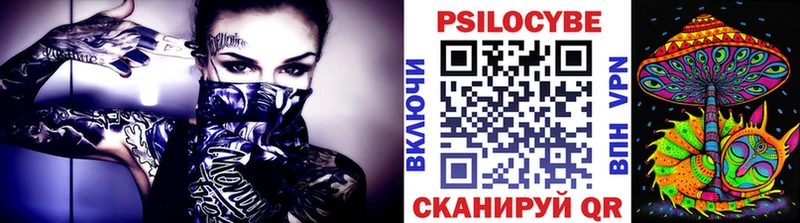 Псилоцибиновые грибы Psilocybe  Карасук 