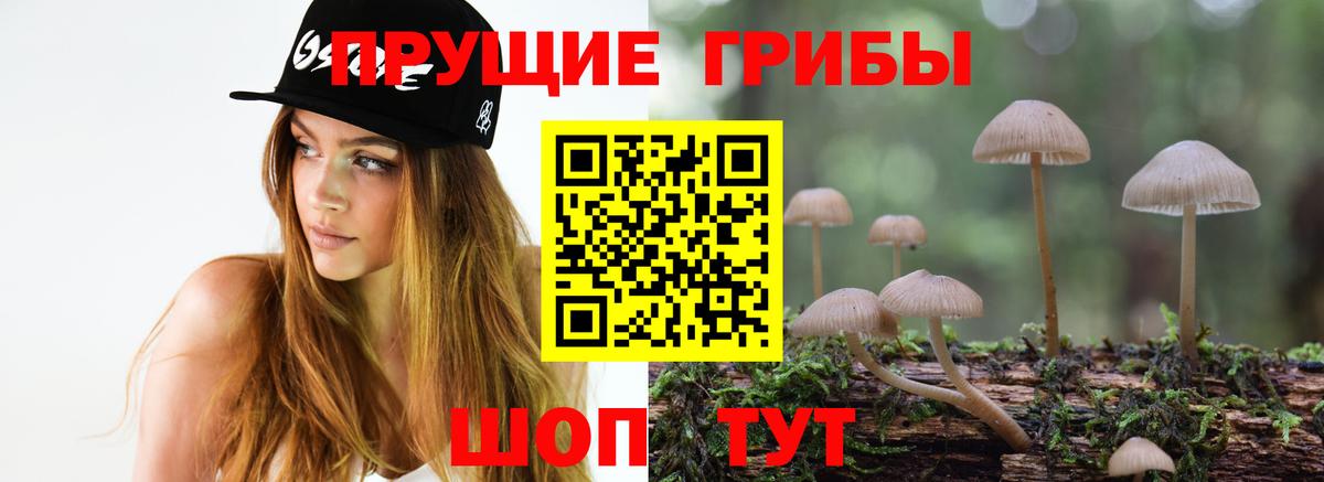 Галлюциногенные грибы мухоморы Карасук