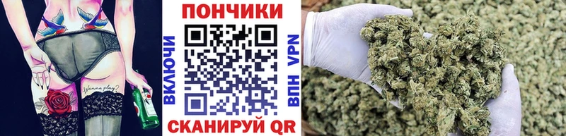 Конопля семена  наркотики  Карасук 