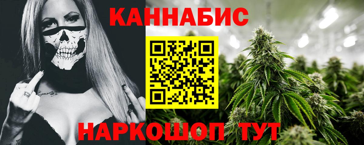 Каннабис OG Kush Карасук